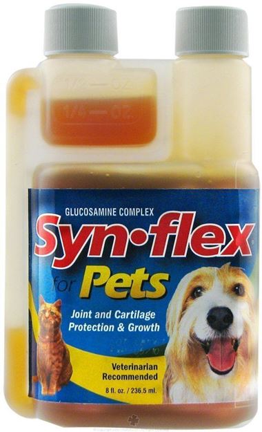 Picture of Synflex Pets Liquid Glucosamine Formula For Pets, 8oz