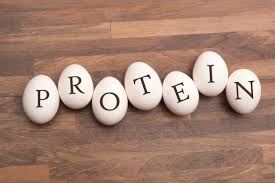 Picture for category Protein